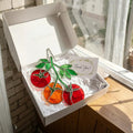 Red Tomato Stained Glass Suncatcher